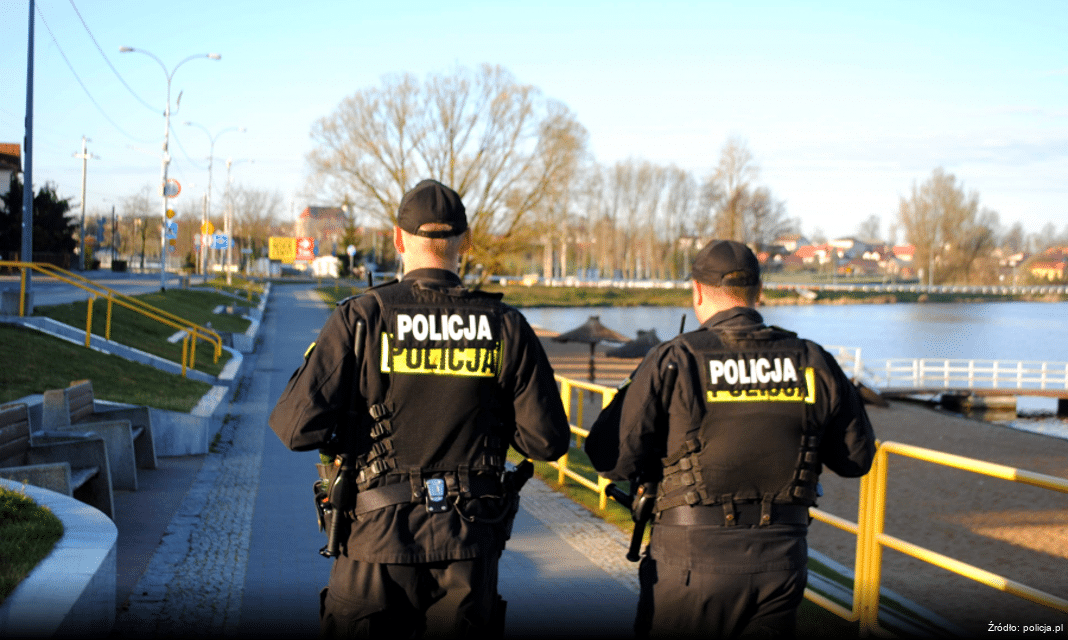 Uwaga na dzikie zwierzęta na drogach w Bielsku Podlaskim