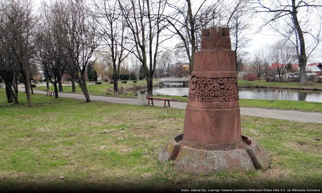 Wyniki naboru wniosków na dotacje sportowe w Bielsku Podlaskim na rok 2026