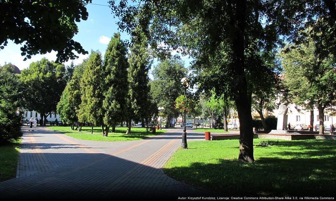 Rozpoczęło się głosowanie na najładniejszą choinkę w Bielsku Podlaskim